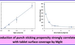 Understanding the role of magnesium stearate in lowering punch sticking propensity of drugs during compression