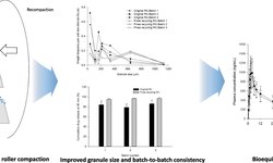 Use of roller compaction and fines recycling process in the preparation of erlotinib hydrochloride tablets