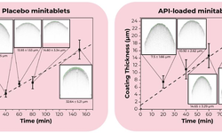 coating monitoring of pediatric minitablets - image
