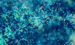 news fundamentals of particle size analysis