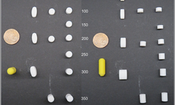 pTab – A personalized bilayer tablet