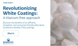 revolutionizing white coatings - image